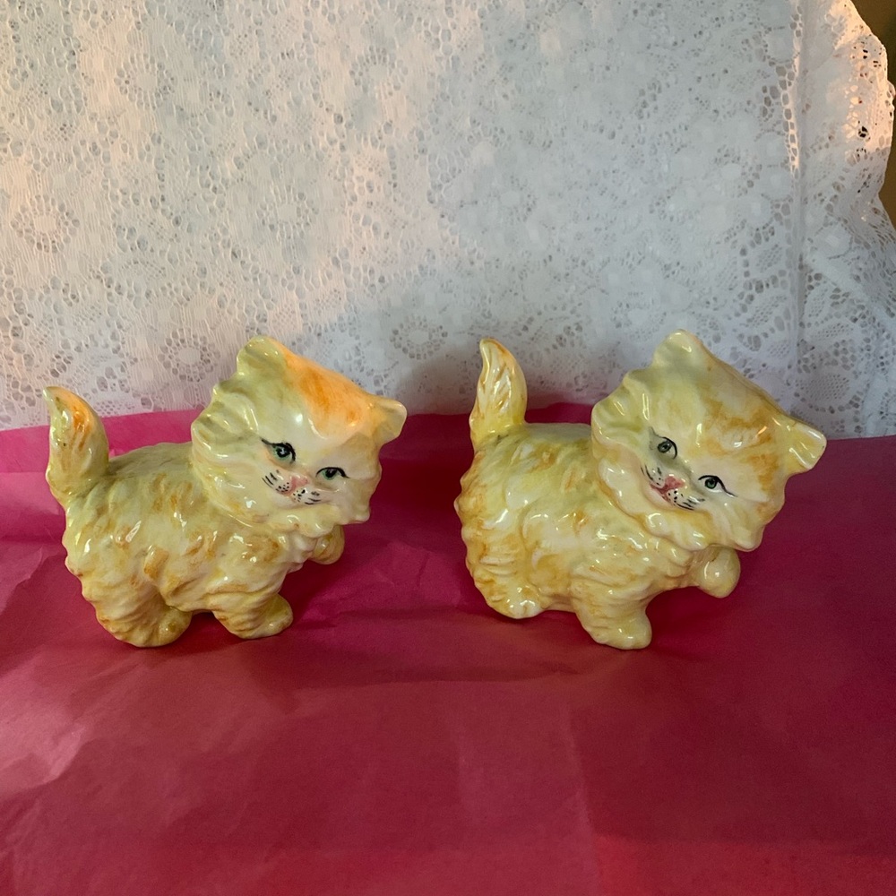 2 cute cats